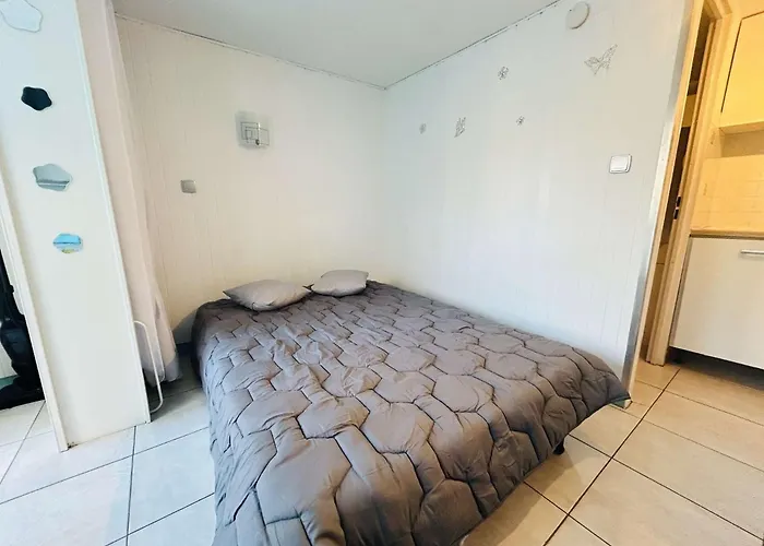 Appt 2 Couchages Cap D 'agde Ct150-h101 Agde